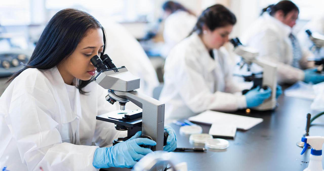 Students with microscopes in a biology lab